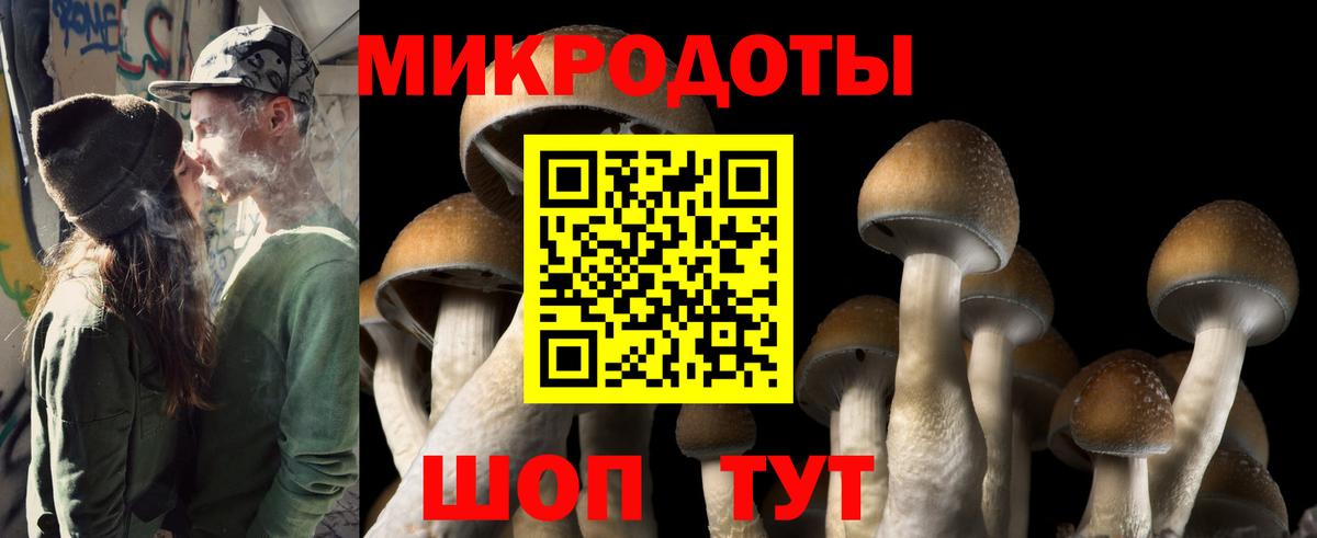 Галлюциногенные грибы GOLDEN TEACHER Изобильный
